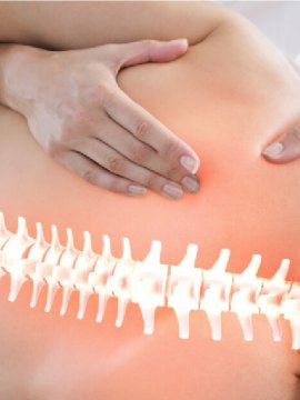 Fisioterapia Postural